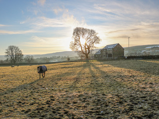 Property Photo: Briar Barn