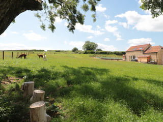Property Photo: Shires Rest