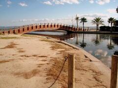 Property Photo: Alcudia beach a few steps of the apartments