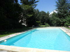 Property Photo: View of the pool