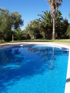Property Photo: the 10m x 5m shared pool