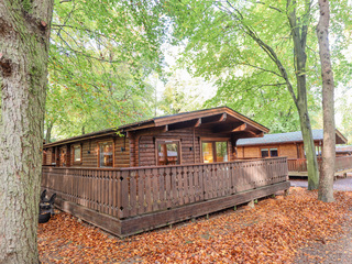Property Photo: Leafy Hollow Lodge