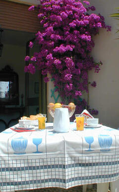 Property Photo: one of the wonderful terraces, breakfast there in the warm season, wonderful breeze in the evening