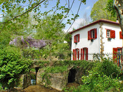Property Photo: The mill and terrace