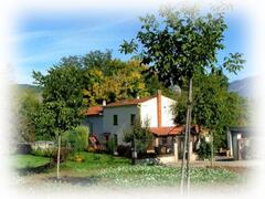 Property Photo: Villa Ulignano