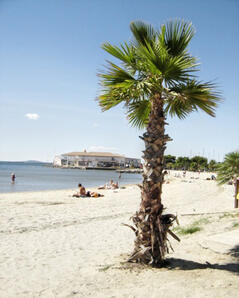 Property Photo: The beach at Meze