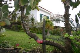 Property Photo: View of the villa from the garden