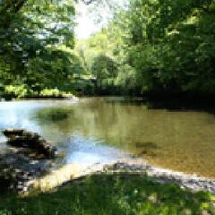 Property Photo: River Lynher