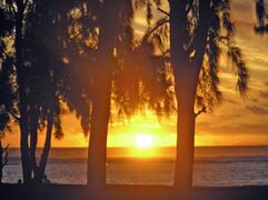 Property Photo: Mauritius sunset taken from Flic En Flac beach 2008 by Llewelyn Pritchard