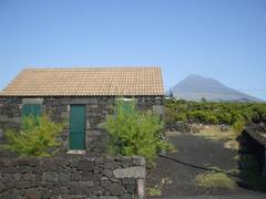 Property Photo: Pico mountain in background