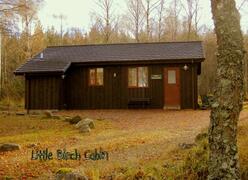 Property Photo: cabin