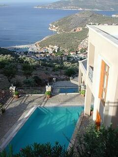 Property Photo: Dolluca Pool From Above