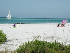 Property Photo: Beach View from Beach Palms